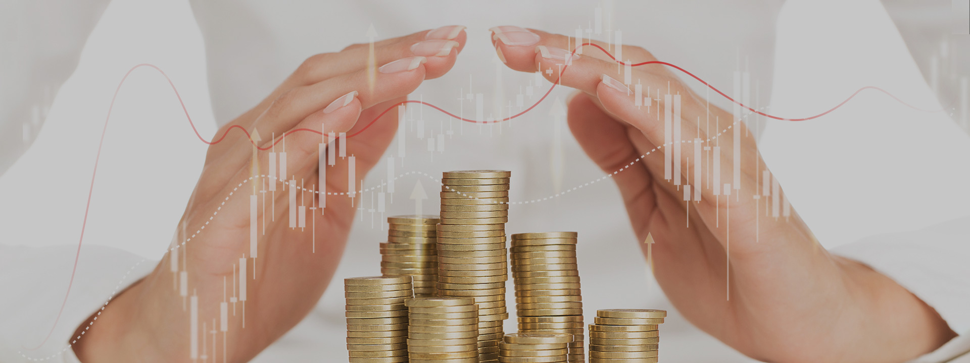 投资者；；；